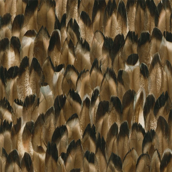Florentina Real Feather Wallcoverings