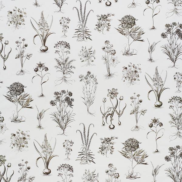 Schumacher Fabrics #178751 at Designer Wallcoverings - Your online resource since 2007