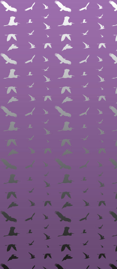 Fiona's Flying Bird Wall Mural - Purple and Silver Mylar - Patte