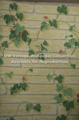 DW Vintage 1960s Collection