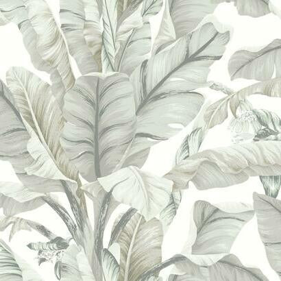 Banana Leaf Wallpaper | Jeffrey Stevens