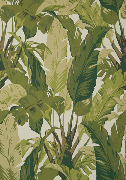Traveler's Palm Wallpaper - Sage green - Designer Wallcoverings and Fabrics