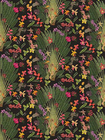 FANTASY TROPICAL - BLACK - NICOLETTE MAYER WALLPAPER - WNM0002TROP at Designer Wallcoverings and Fabrics, Your online resource since 2007