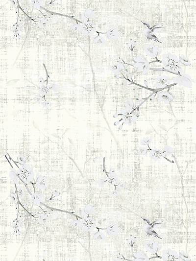 BLOSSOM FANTASIA - IVORY - NICOLETTE MAYER WALLPAPER - WNM1024BLOS at Designer Wallcoverings and Fabrics, Your online resource since 2007