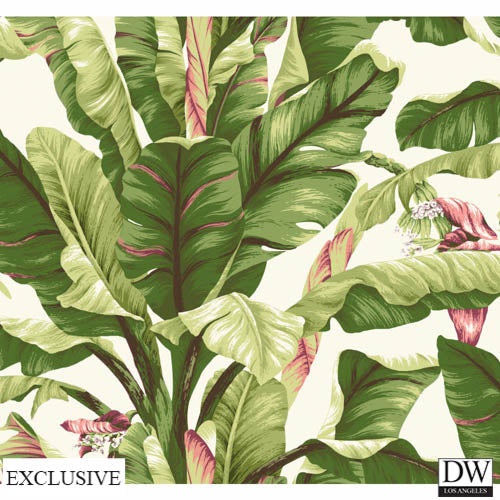 Ono Island Banana Leaf Wallpaper