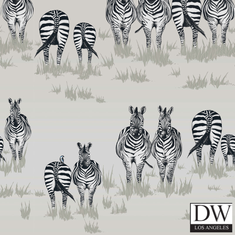 Dazzle Zebra Wallpaper - 2