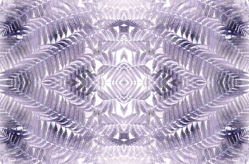 Contemporary Fernacopia Surreal Damask