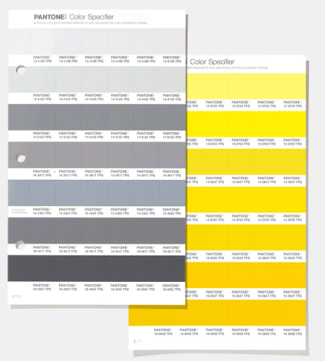 ANNOUNCING THE PANTONE COLOR OF THE YEAR - 2021