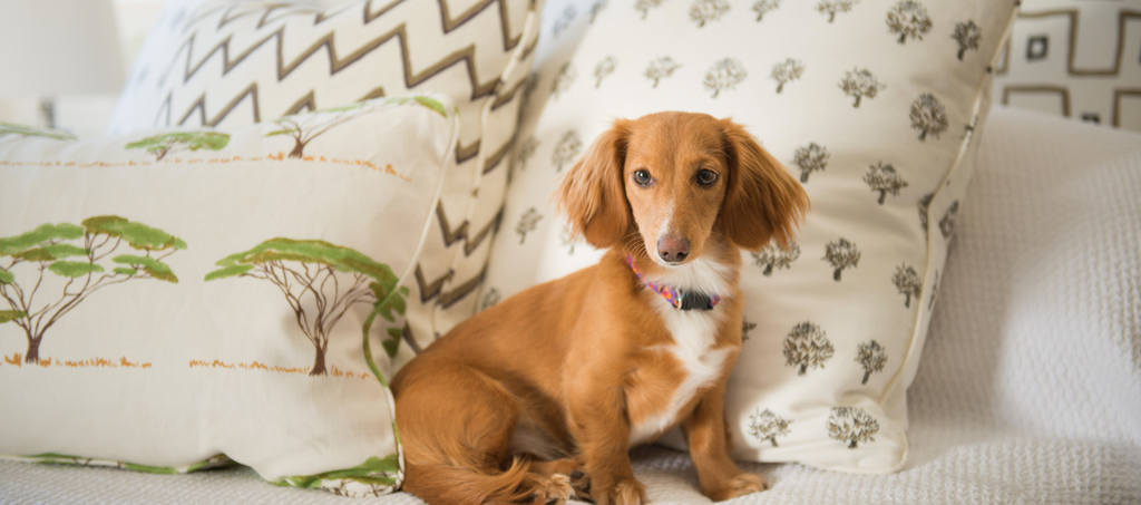 New Collection by Mally Skok