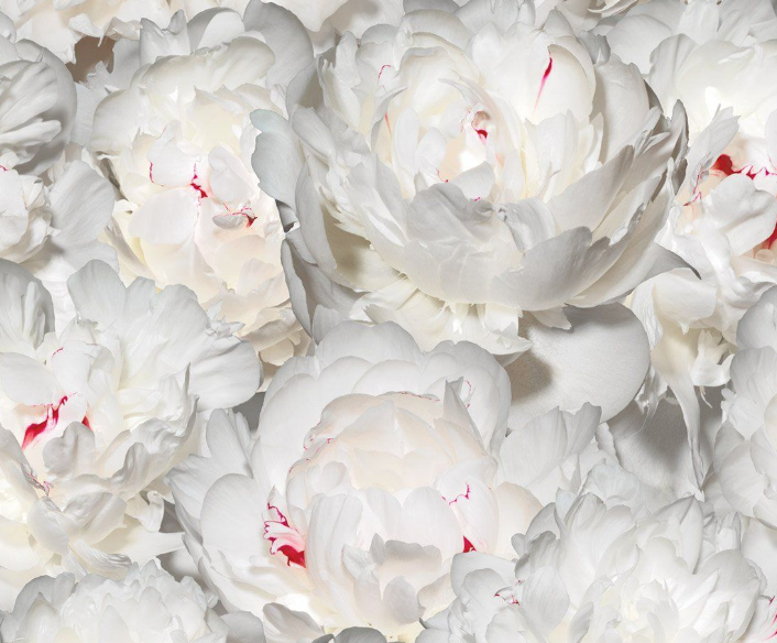 Project Spotlight: Local Designer Jennifer Pray