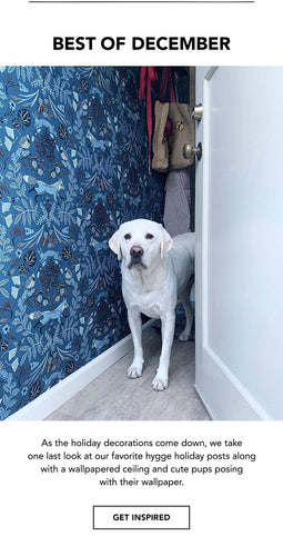 Hygge and West Highlights