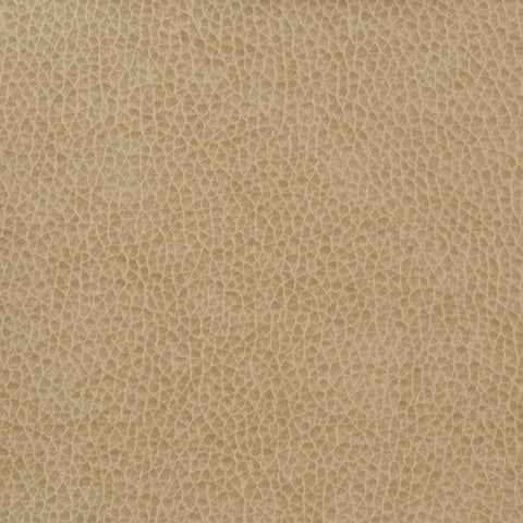 Kravet Basics