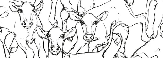 Marimekko Wallpaper Collection | Designer Wallcoverings