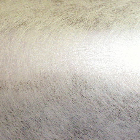 Metallic Mylar