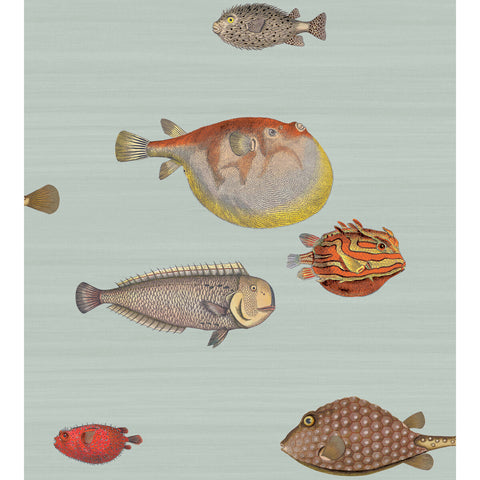 Cole and Son Collections