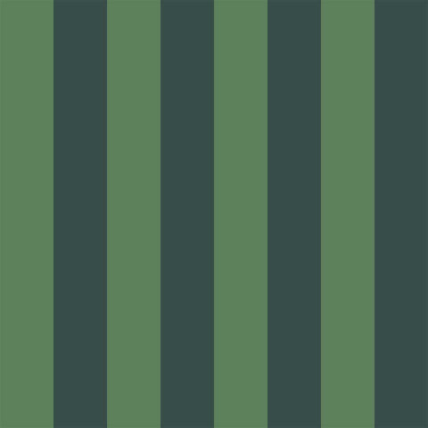 Fentucci Stripe