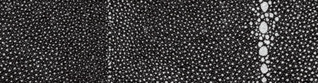 Reflective Wallpaper