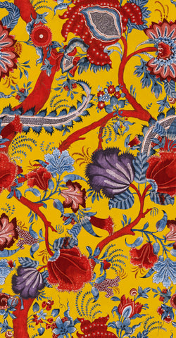 Paisley Collection