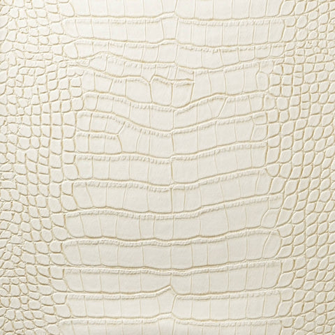 Warm Whites & Ivory