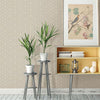 Prism, Taupe