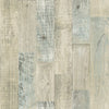 Chebacco, Beige