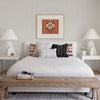 Bison, Light Gray