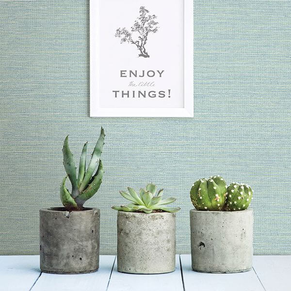 Agave Bliss, Teal