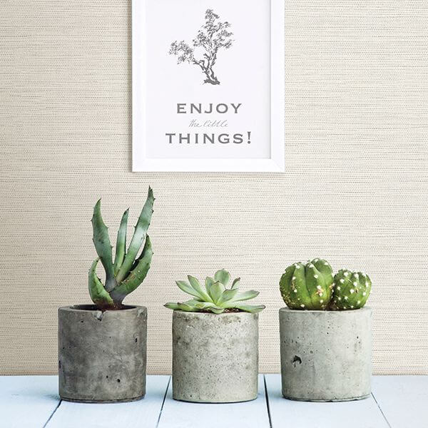 Agave, Off White