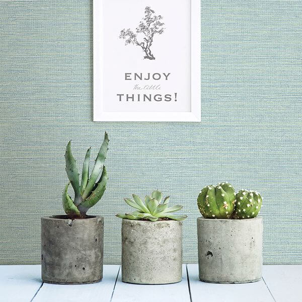 Agave, Mint