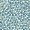 Allison, Blue