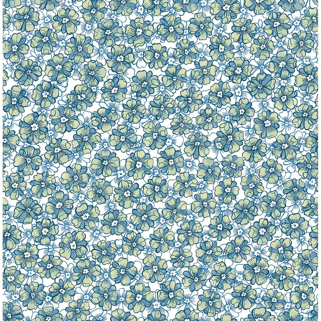 Allison, Blue