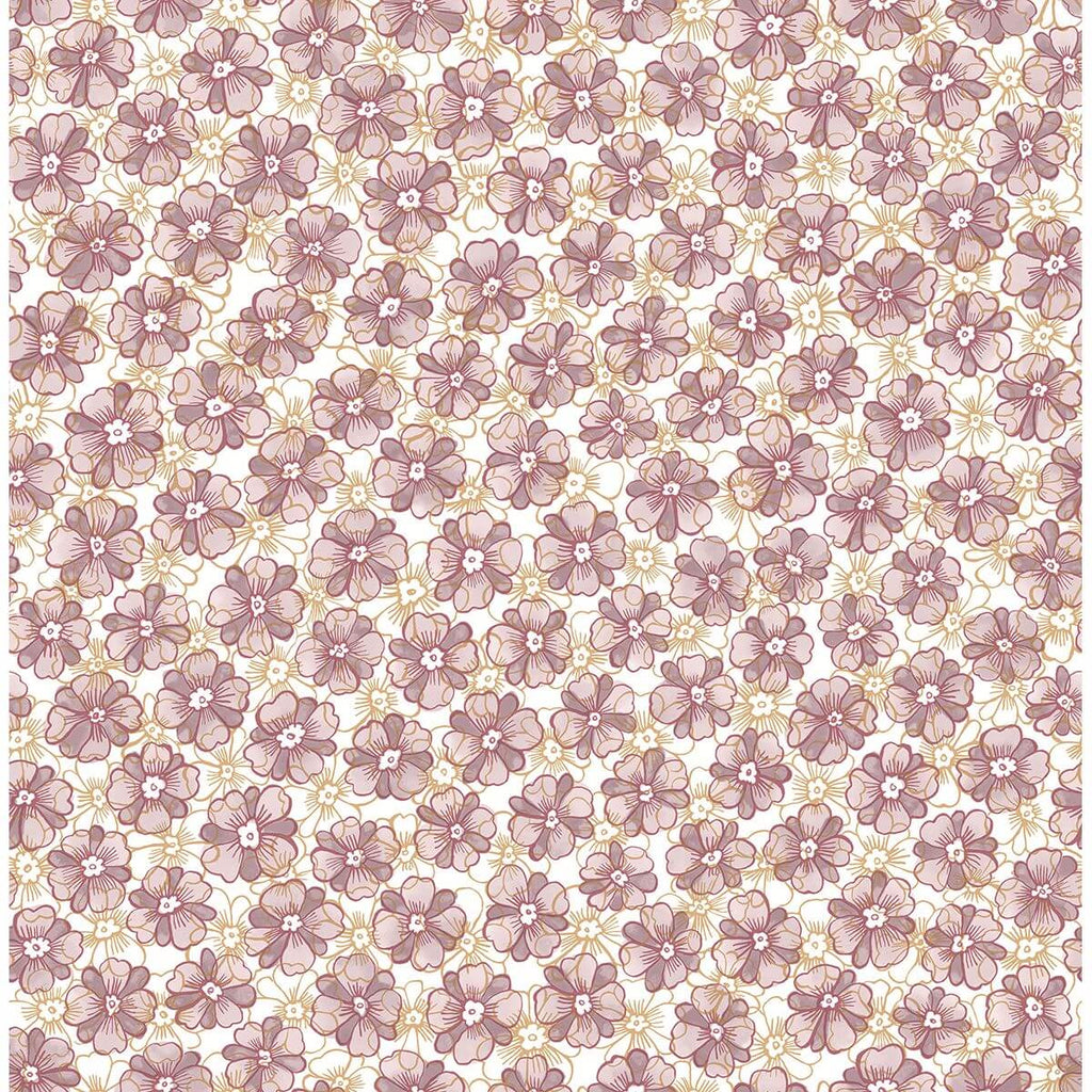 Allison, Lavender
