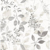 Gossamer, Grey