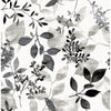 Gossamer, Black