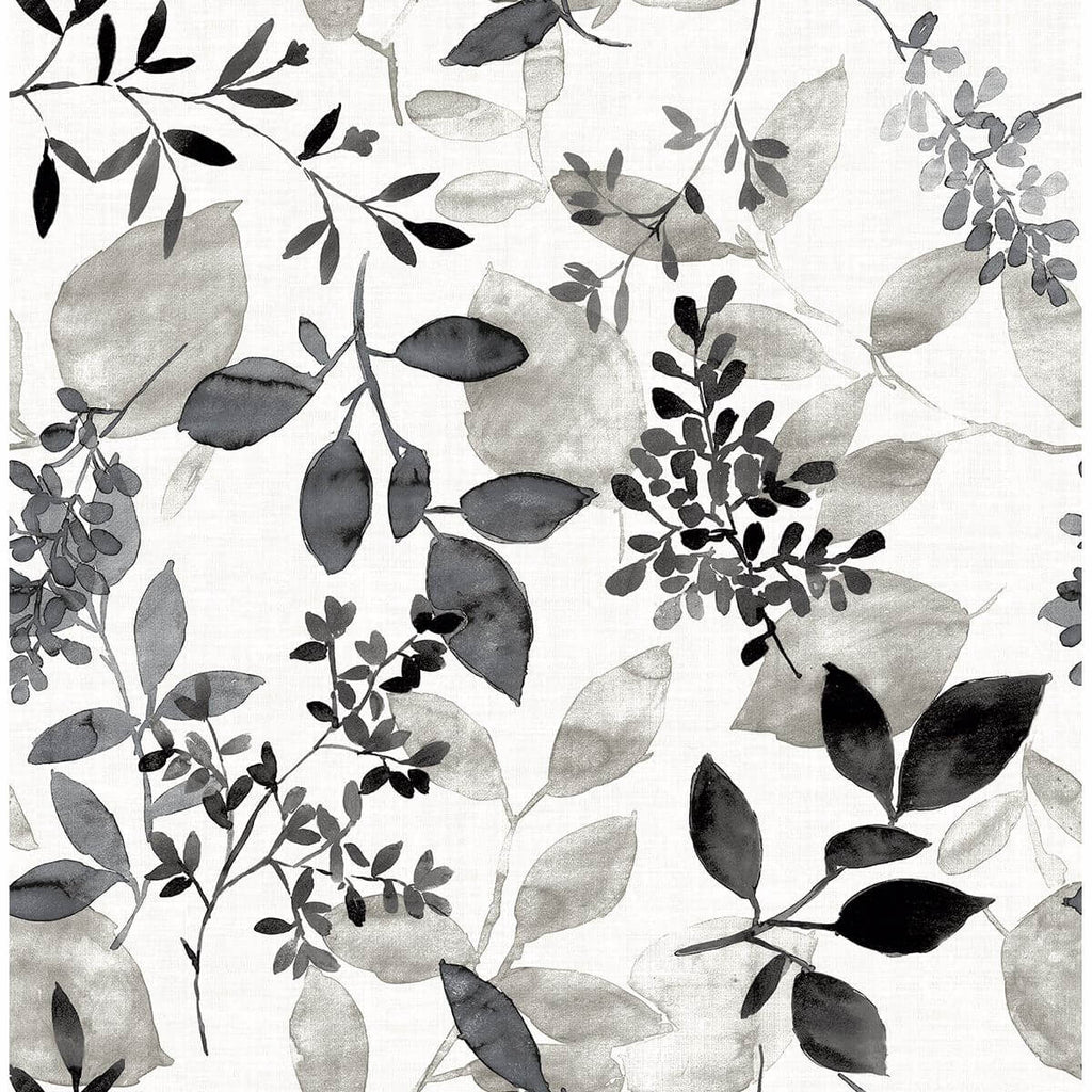 Gossamer, Black