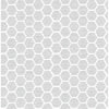 Aura, Light Gray