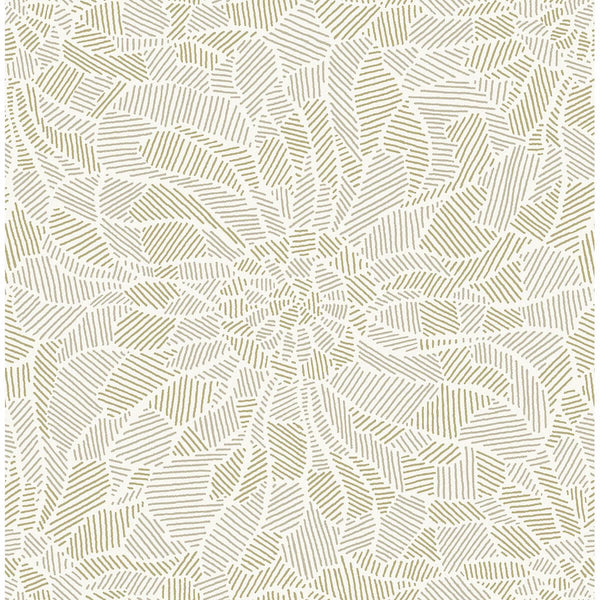 Daydream, Honey Wallcoverings | Malibu Wallcovering