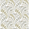 Fiddlehead, Grey