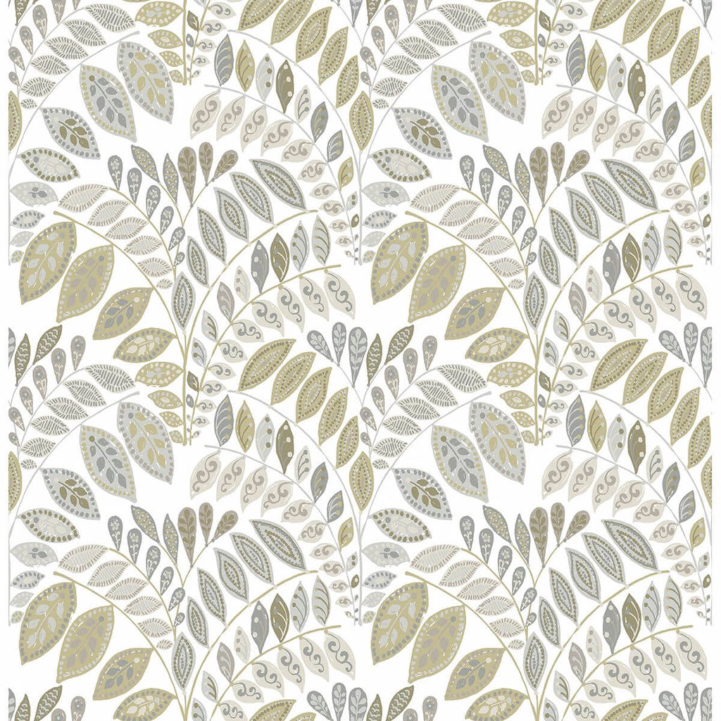 Fiddlehead, Grey