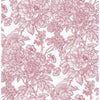 Birds of Paradise Breeze, Rose