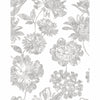 Folia, Taupe