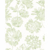 Folia, Sage Green
