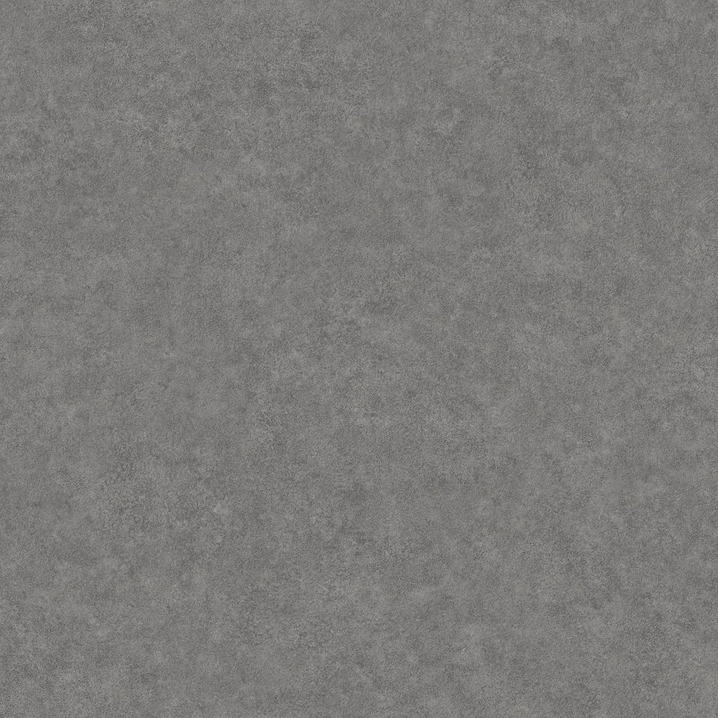 Duchamp, Dark Grey
