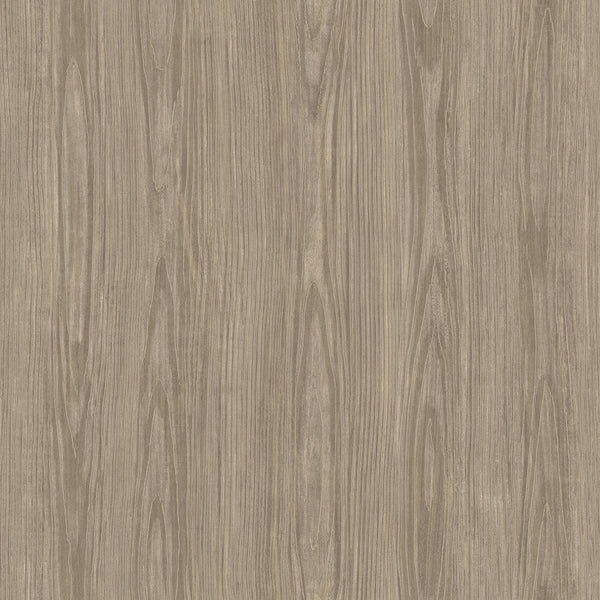 Tanice, Light Brown Wallcoverings | Malibu Wallcovering