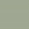 Starwart, Sage Green