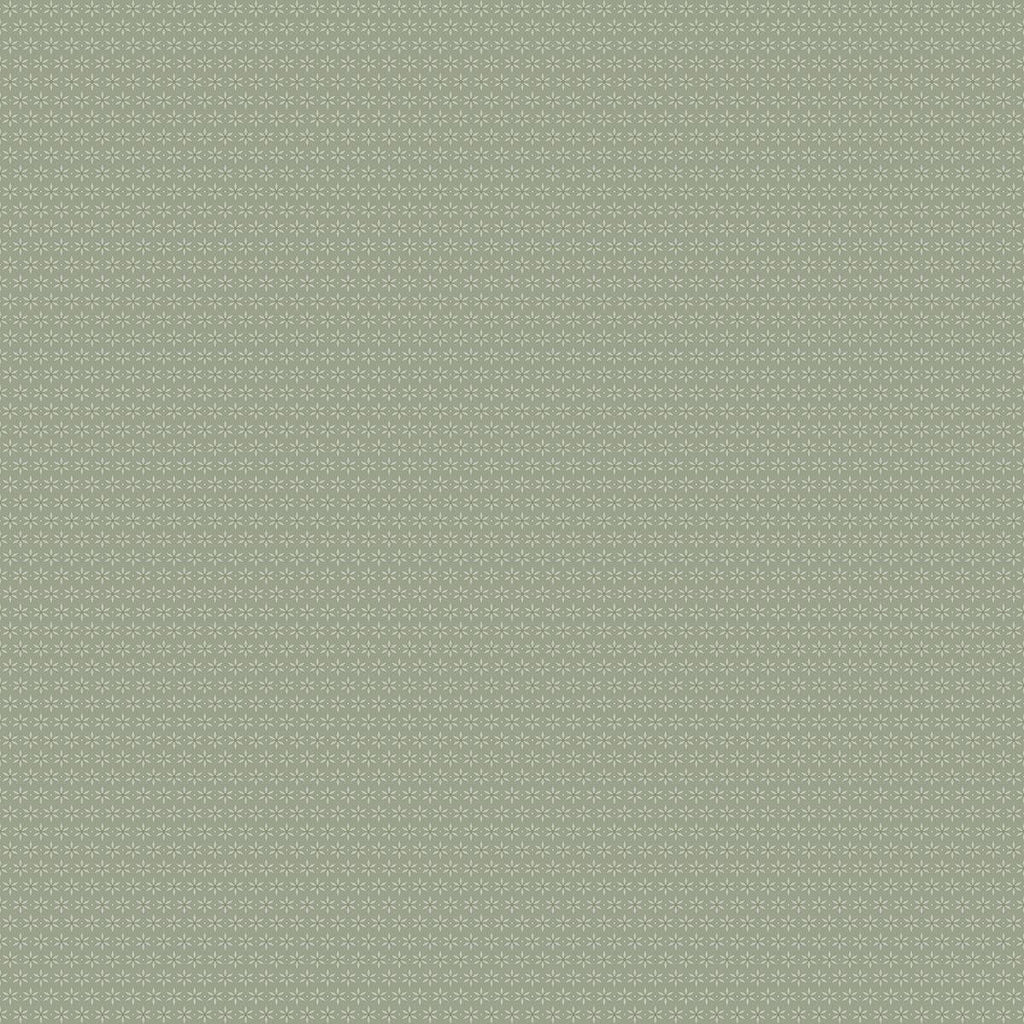 Starwart, Sage Green