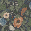 Anemone, Multicolor