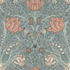 Tulipa, Sage