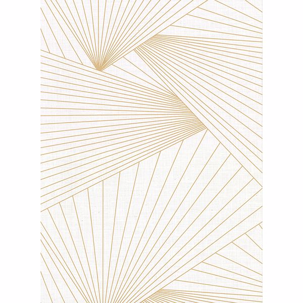 Berkeley, Off White