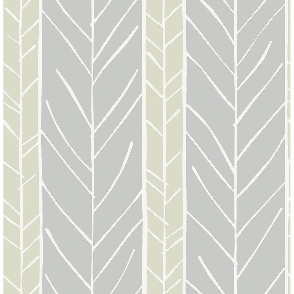 Lottie, Grey